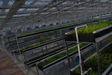 晉土地網(wǎng)頁與網(wǎng)站設(shè)計之道